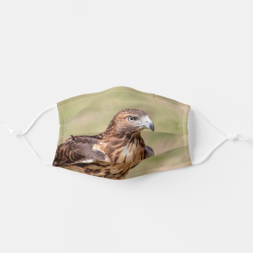 Red_tailed hawk in the Hudson Valley Adult Cloth Face Mask