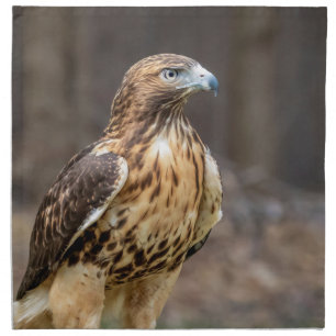Red-tailed hawk in the Hudson Valley Cloth Napkin