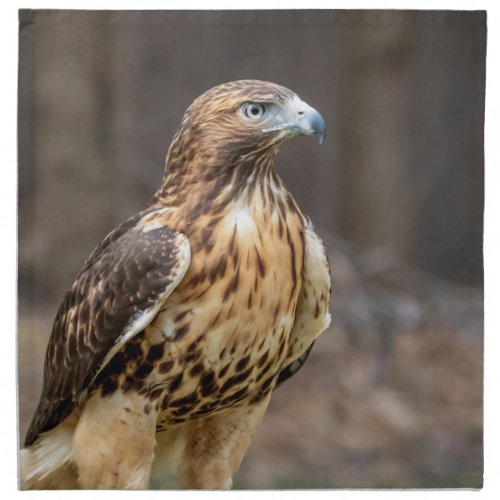 Red_tailed hawk in the Hudson Valley Cloth Napkin