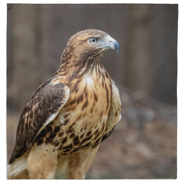 Red-tailed hawk in the Hudson Valley Cloth Napkin (Front)