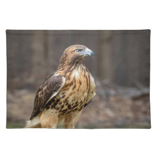 Red-tailed hawk in the Hudson Valley Cloth Placemat