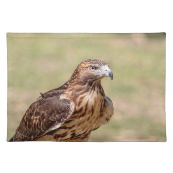 Red-tailed Hawk In The Hudson Valley Cloth Placemat by debscreative at Zazzle