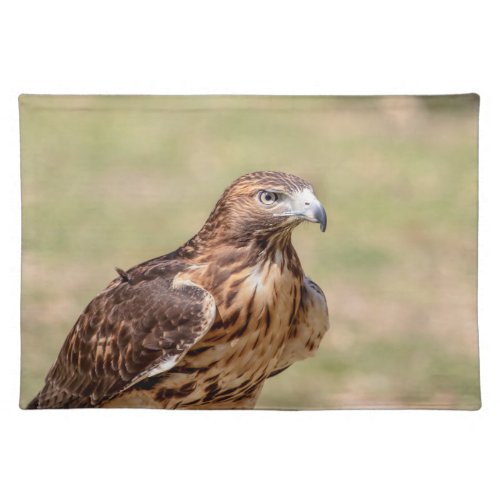 Red_tailed hawk in the Hudson Valley Cloth Placemat