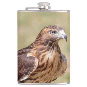 Red-tailed Hawk In The Hudson Valley Flask by debscreative at Zazzle