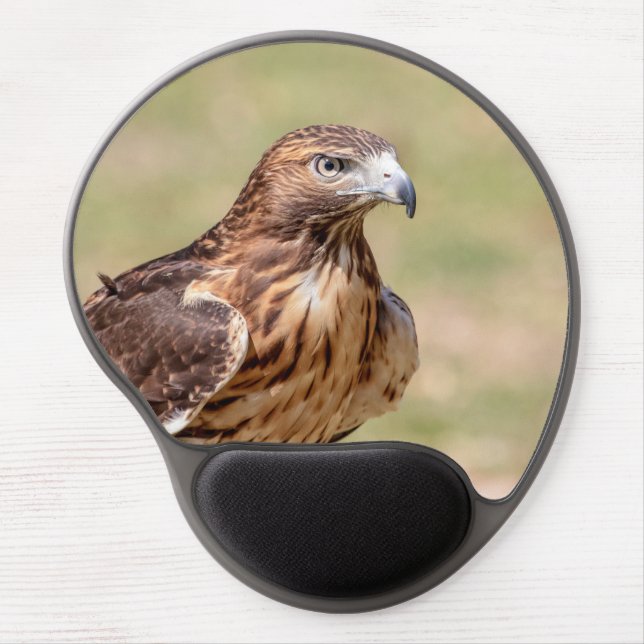 Red-tailed hawk in the Hudson Valley Gel Mouse Pad (Front)