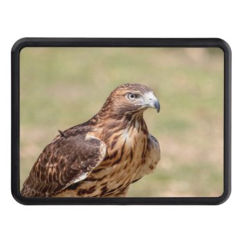 Red-tailed Hawk In The Hudson Valley Hitch Cover by debscreative at Zazzle