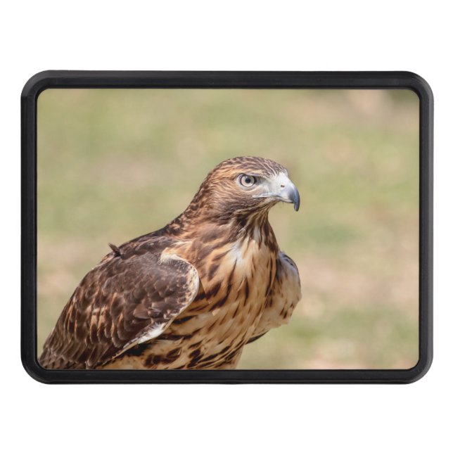 Red-tailed hawk in the Hudson Valley Hitch Cover (Front)