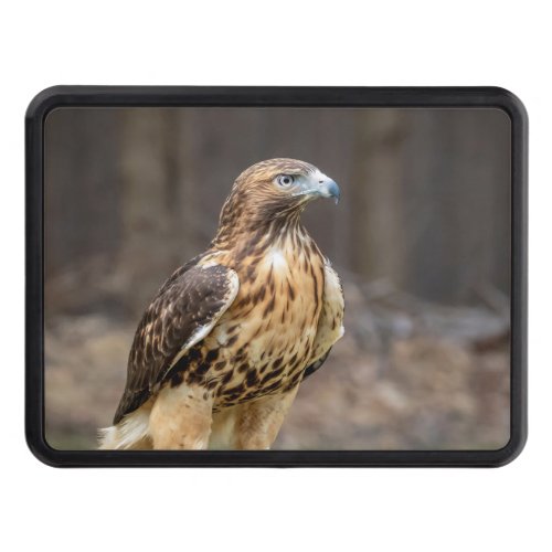 Red_tailed hawk in the Hudson Valley Hitch Cover