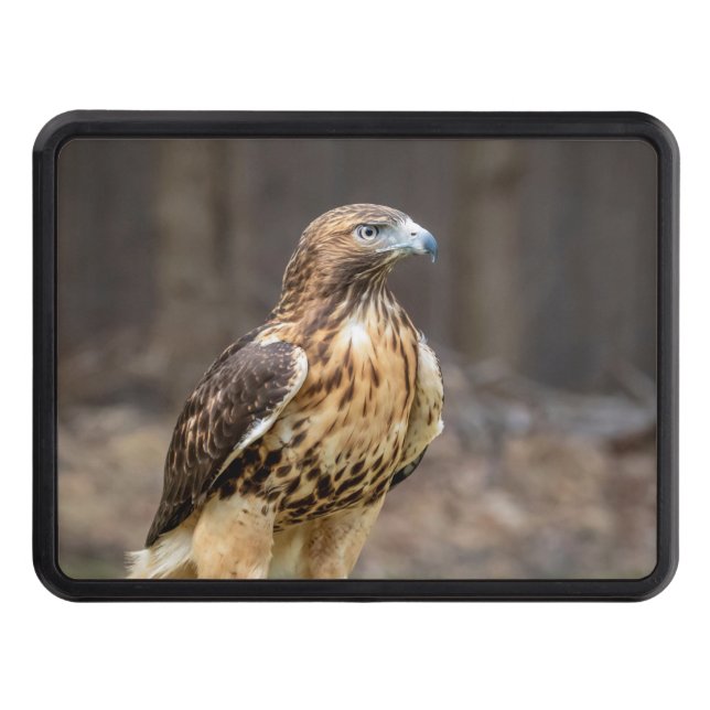 Red-tailed hawk in the Hudson Valley Hitch Cover (Front)