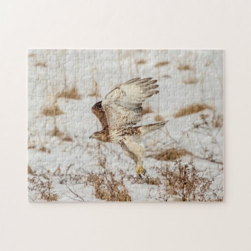 Red_tailed hawk in the Hudson Valley Jigsaw Puzzle