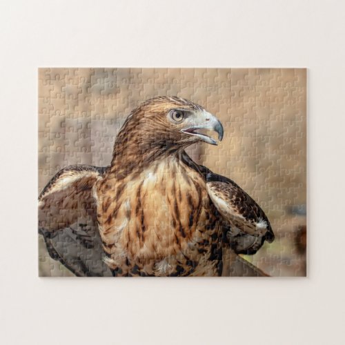 Red_tailed hawk in the Hudson Valley Jigsaw Puzzle