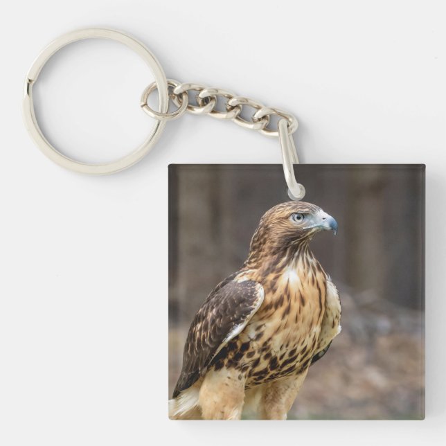 Red-tailed hawk in the Hudson Valley Keychain (Front)