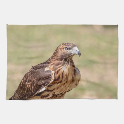 Red_tailed hawk in the Hudson Valley Kitchen Towel