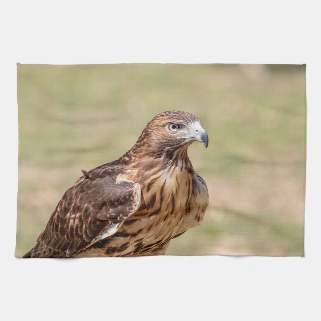 Red-tailed hawk in the Hudson Valley Kitchen Towel (Horizontal)