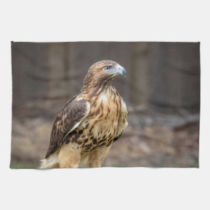 Red-tailed hawk in the Hudson Valley Kitchen Towel