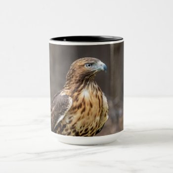 Red-tailed Hawk In The Hudson Valley Mug by debscreative at Zazzle