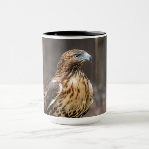 Red_tailed hawk in the Hudson Valley Mug
