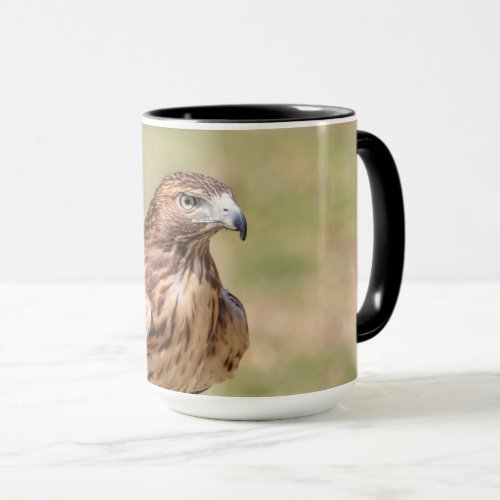 Red_tailed hawk in the Hudson Valley Mug