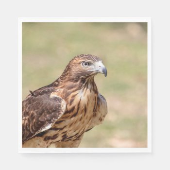 Red-tailed Hawk In The Hudson Valley Napkins by debscreative at Zazzle