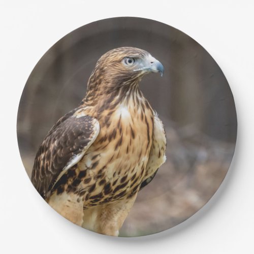 Red_tailed hawk in the Hudson Valley Paper Plates