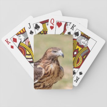 Red-tailed Hawk In The Hudson Valley Playing Cards by debscreative at Zazzle