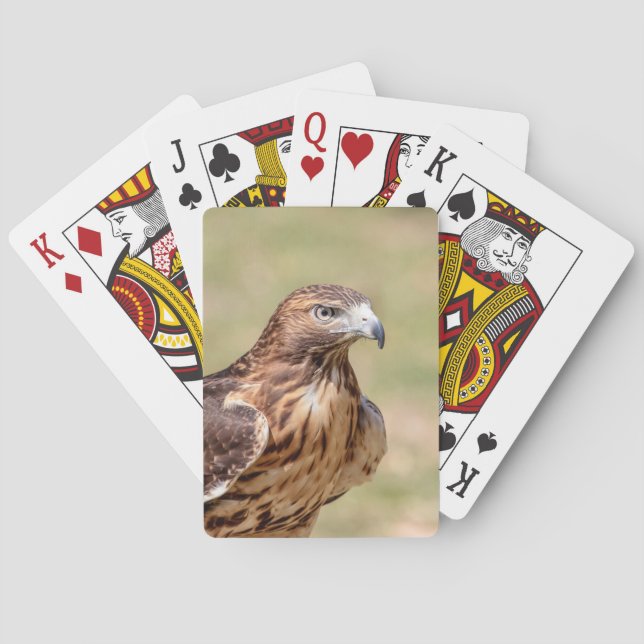 Red-tailed hawk in the Hudson Valley Poker Cards (Back)