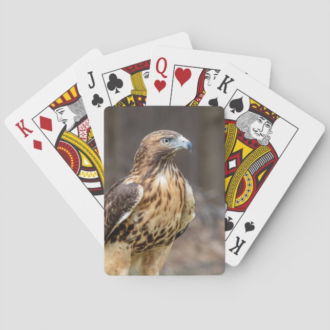 Red-tailed hawk in the Hudson Valley Poker Cards (Back)