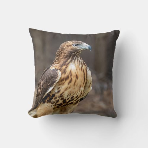 Red_tailed hawk in the Hudson Valley Throw Pillow