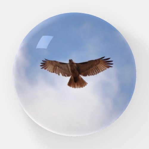 Red Tailed Hawk in the Sky Glass Paperweight