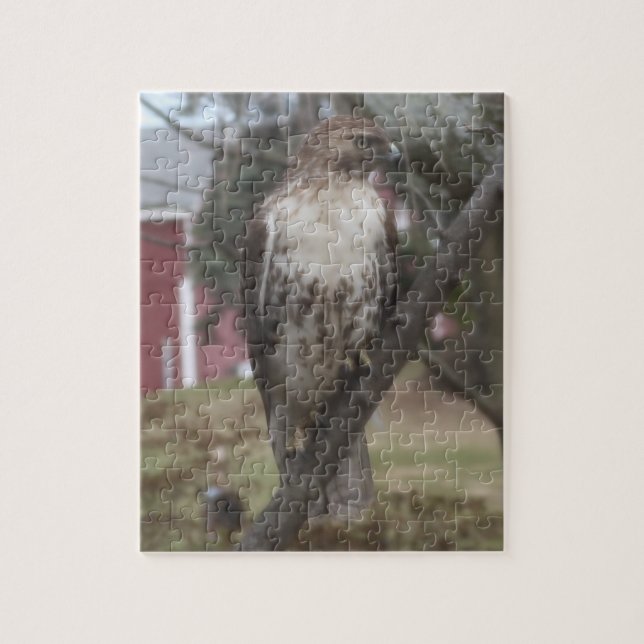 Red-tailed Hawk in Tree  Jigsaw Puzzle (Vertical)
