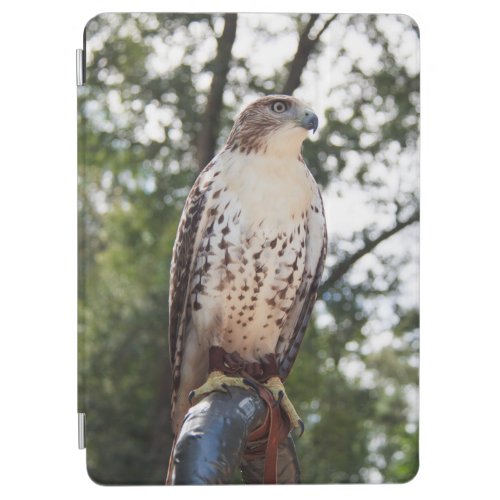 Red_Tailed Hawk iPad Air Cover