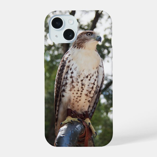 Red-Tailed Hawk Iphone Case (Back)