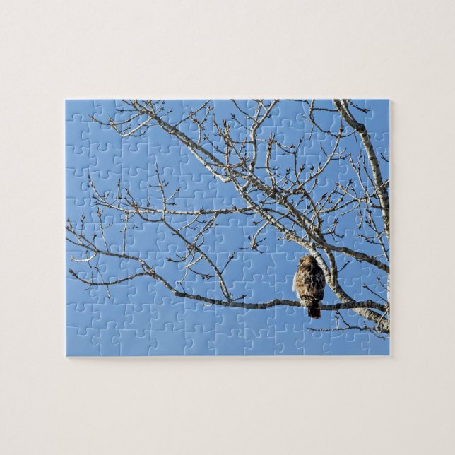 Red Tailed Hawk Jigsaw Puzzle (Horizontal)
