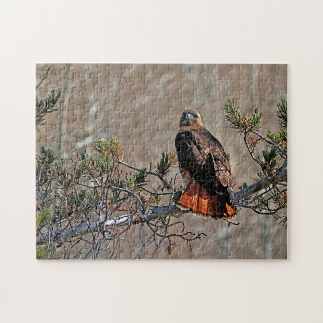 Red‑Tailed Hawk Jigsaw Puzzle (Horizontal)