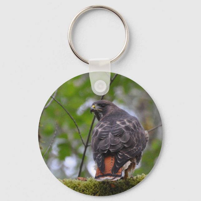Red-Tailed Hawk Keychain (Front)