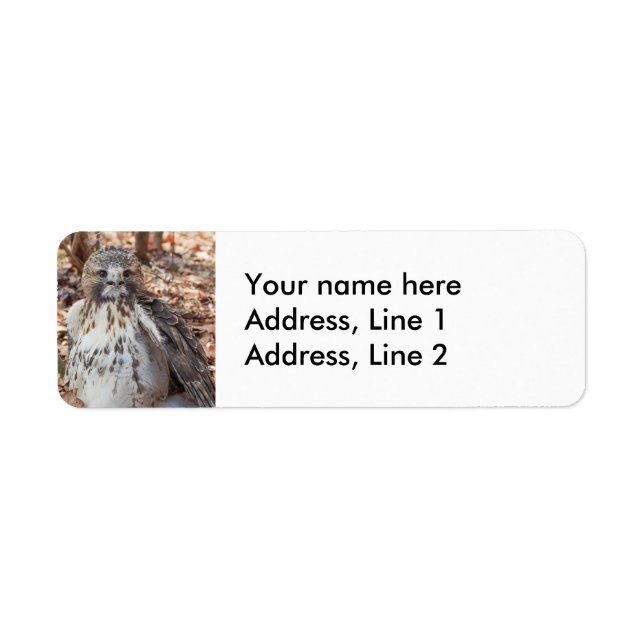 Red Tailed Hawk Label (Front)
