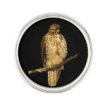 Red Tailed Hawk Lapel Pin at Zazzle