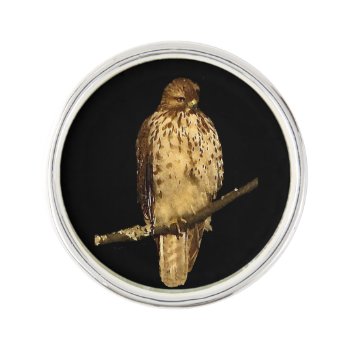 Red Tailed Hawk Lapel Pin by Bebops at Zazzle