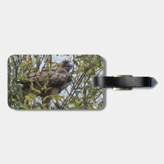 Red tailed hawk luggage tag