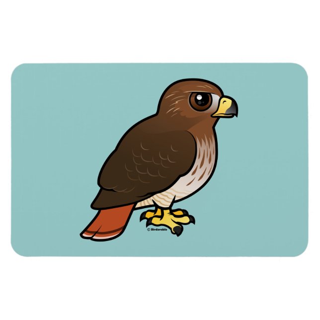 Red-tailed Hawk Magnet (Horizontal)