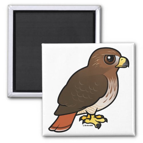 Red_tailed Hawk Magnet