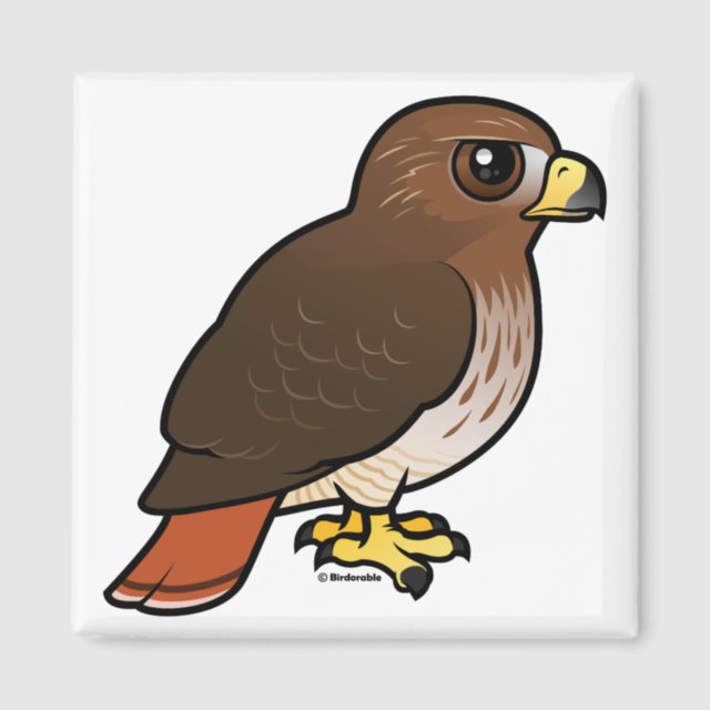 Cute Red Tailed Hawk Square Magnet In Birdorable Shop