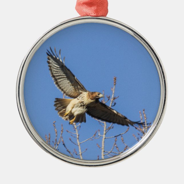 Red-tailed Hawk Metal Ornament (Front)