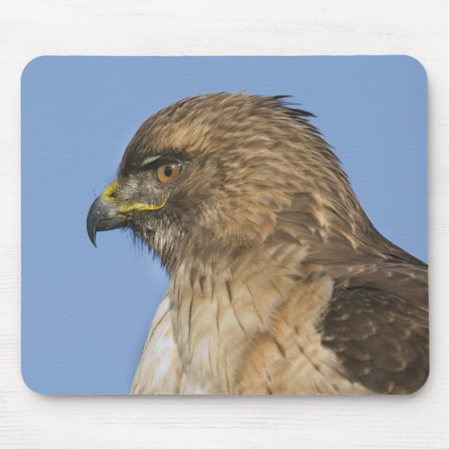 Red-tailed Hawk Mouse Pad (Front)