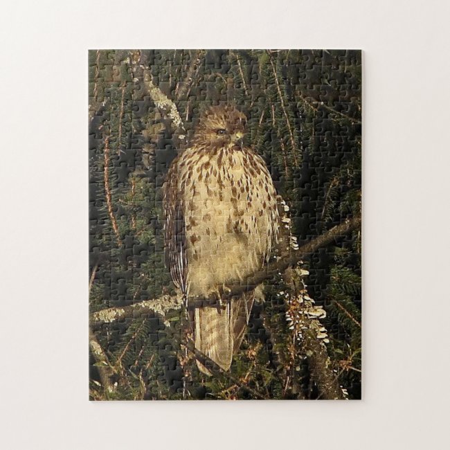 Red-tailed Hawk on Branch Jigsaw Puzzle
