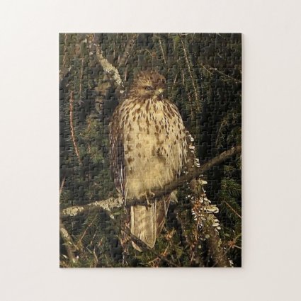 Red-tailed Hawk on BranchJigsaw Puzzle