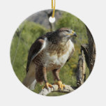 Red Tailed Hawk Ornament at Zazzle