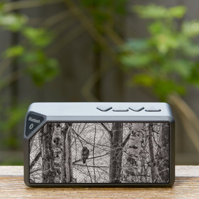Red-tailed Hawk P8443 Bluetooth Speaker (Insitu(Outdoor))