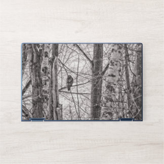 Red-tailed Hawk P8443 HP Laptop Skin