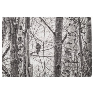 Red-tailed Hawk P8443 Metal Print